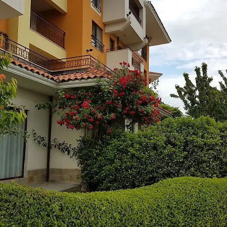 аheloy 79 Apartman *